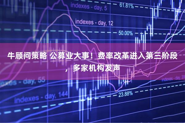 牛顾问策略 公募业大事！费率改革进入第三阶段，多家机构发声