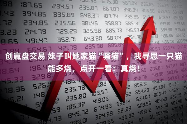 创赢盘交易 妹子叫她家猫“骚猫”，我寻思一只猫能多烧，点开一看：真烧！