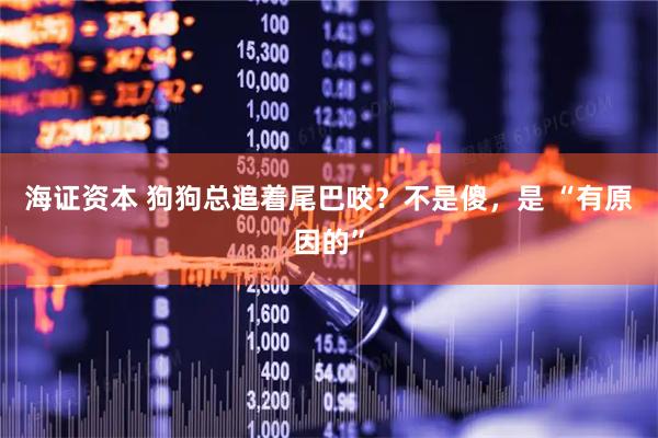 海证资本 狗狗总追着尾巴咬？不是傻，是 “有原因的”
