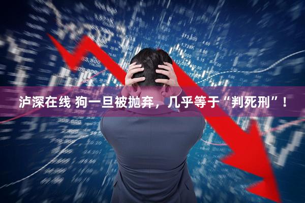 泸深在线 狗一旦被抛弃，几乎等于“判死刑”！