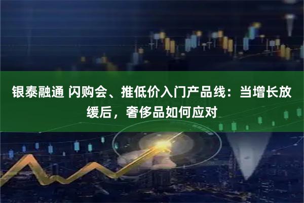 银泰融通 闪购会、推低价入门产品线：当增长放缓后，奢侈品如何应对
