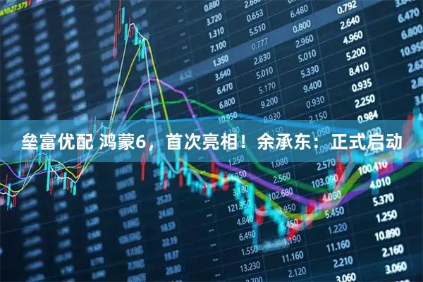 垒富优配 鸿蒙6，首次亮相！余承东：正式启动