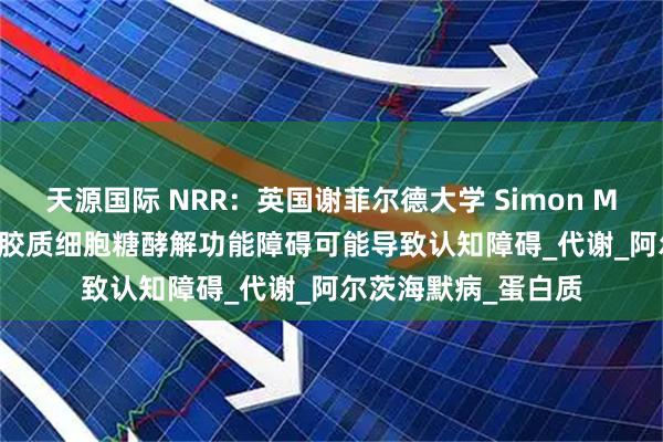 天源国际 NRR:英国谢菲尔德大学 Simon M Bell团队讨论星形胶质细胞糖酵解功能障碍可能导致认知障碍_代谢_阿尔茨海默病_蛋白质